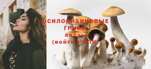 бутират Алексин