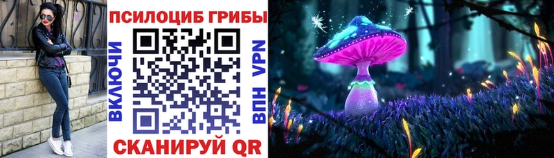 OMG онион  закладка  Полевской  Псилоцибиновые грибы MAGIC MUSHROOMS 